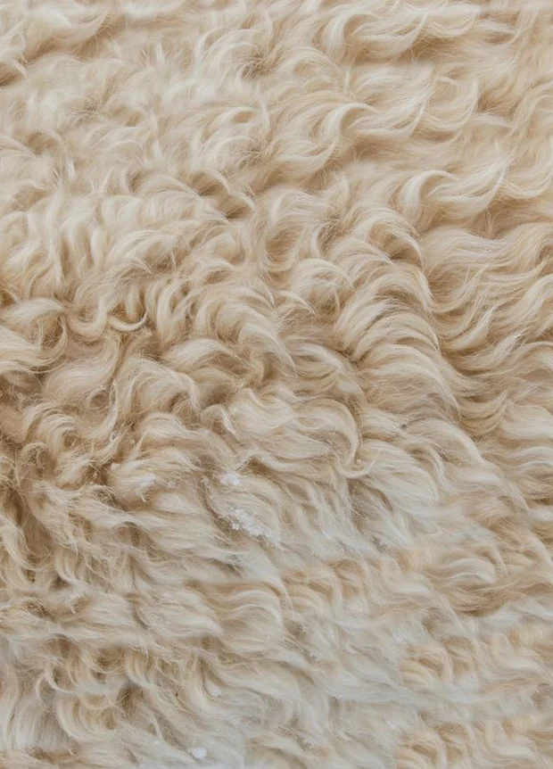 Yün